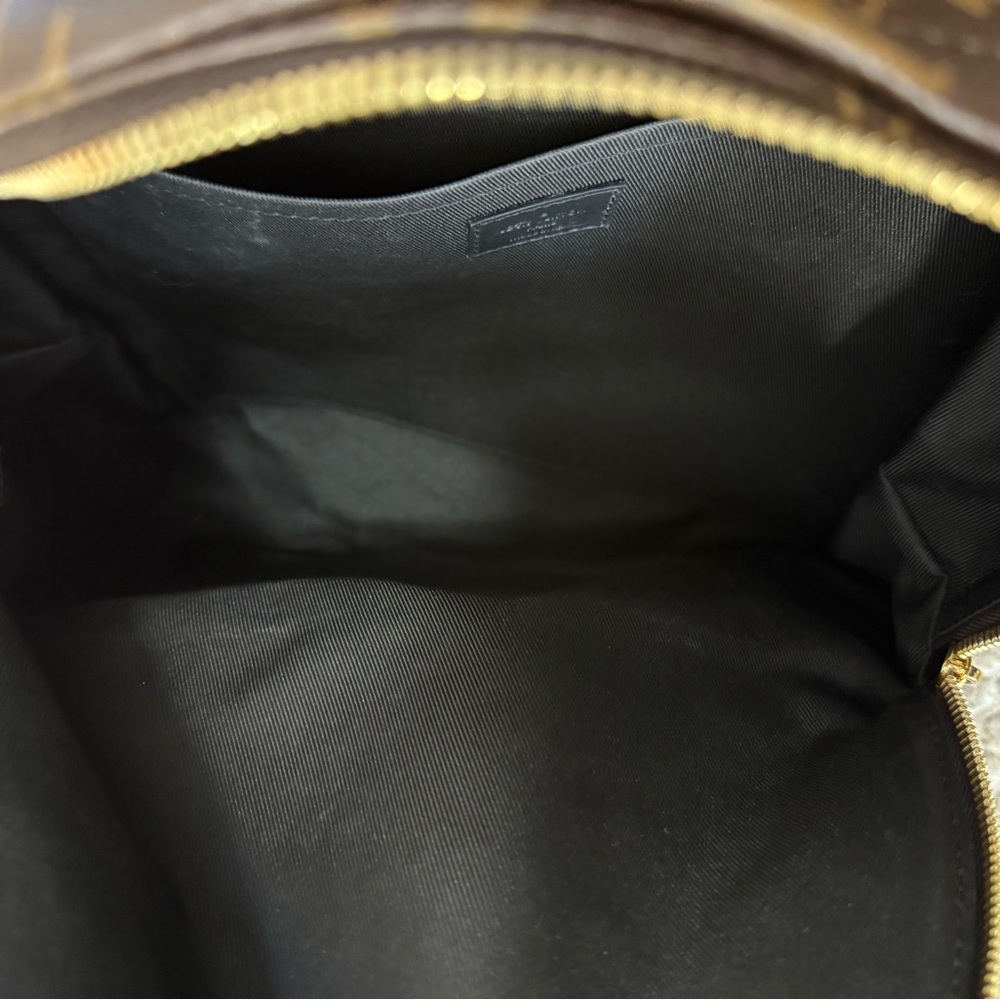 Louis Vuitton Palm Springs MM Backpack (Brand New) - Picture 3 of 7